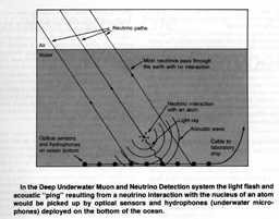 Deep Underwater Muon and Neutrino Detection system