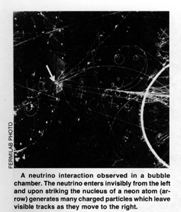 Neutrino interaction