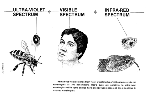 UV, visible, and IR - first graphic